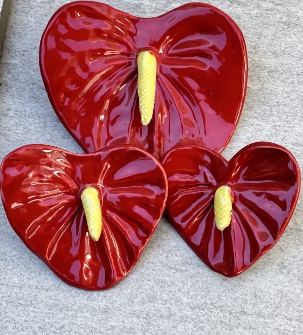 Small Anthurium Flowers